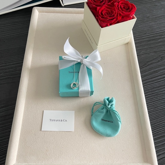 Tiffany & Co. Interlocking Circles Pendant in Sterling Silver 16” NEW $625 - Picture 17 of 17